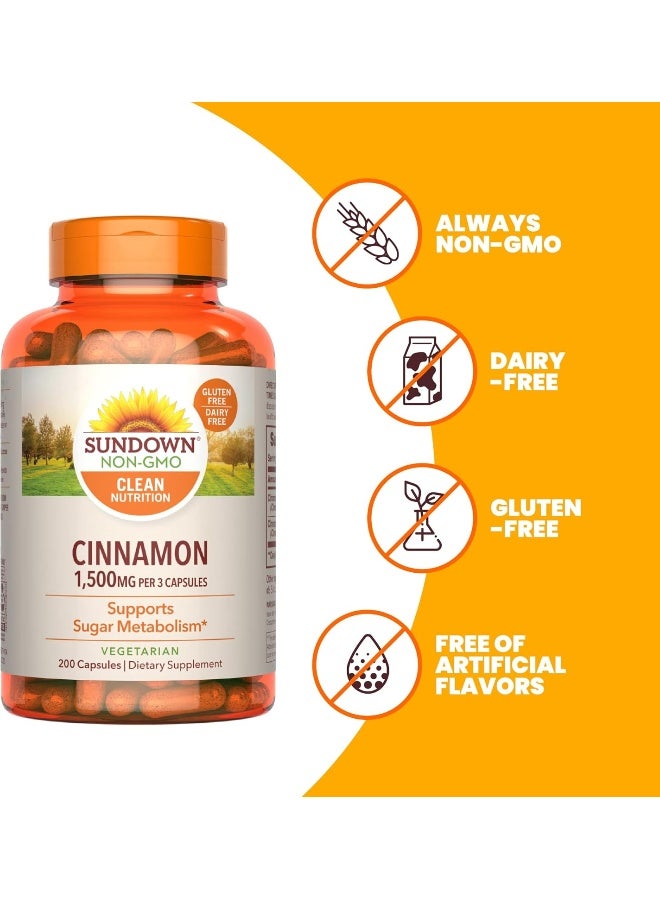 Sundown Cinnamon 1000 Mg 200 Caps - Image 4
